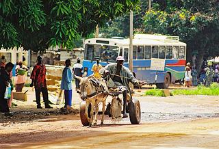 Brikama The Gambia