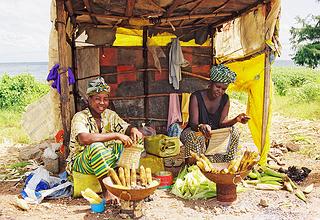 Banjul countryside